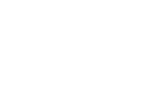 Major League Professional Services, Reversed Logo